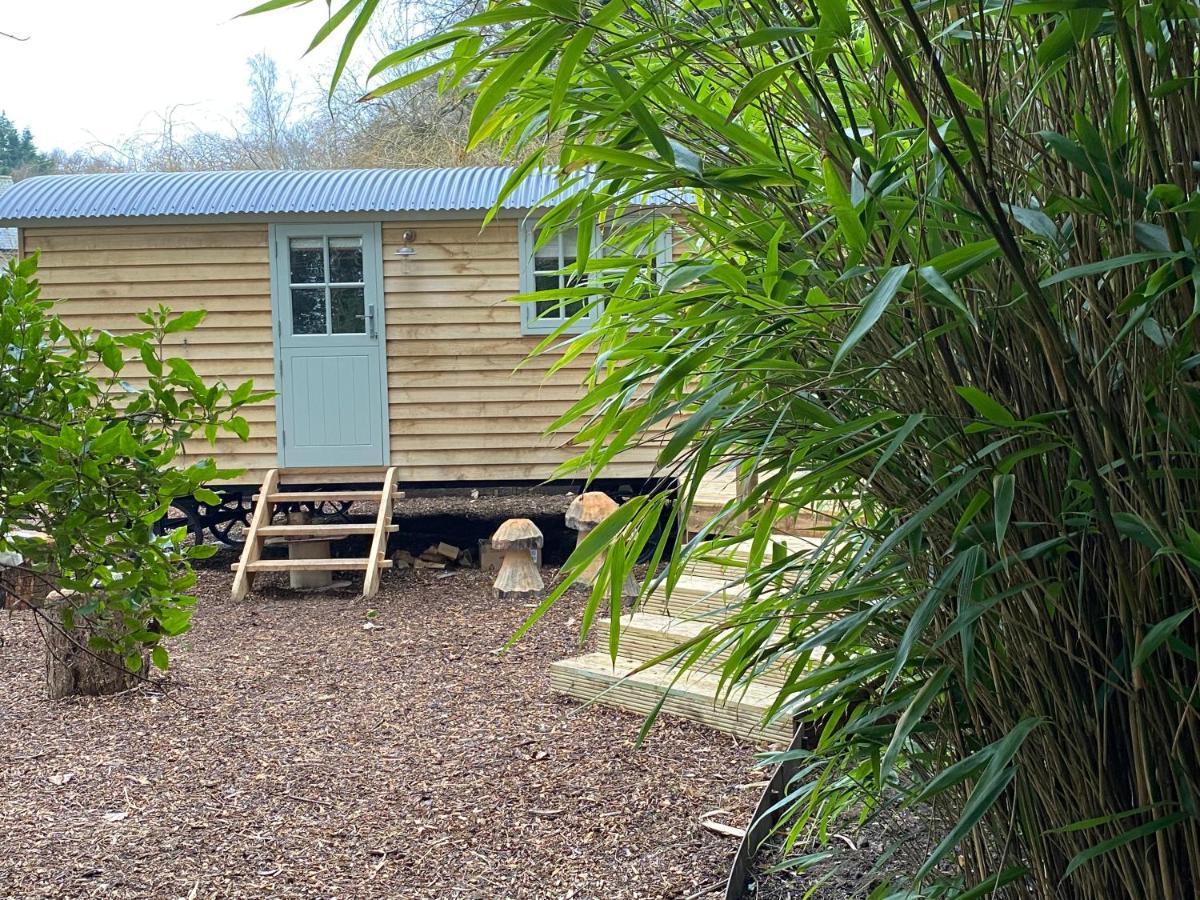 Chez Maurice Luxury Shepherds Hut With Bath And Hot Tub Kelling Екстер'єр фото
